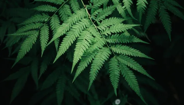 系统集成性能瓶颈及优化策略，提升培训效果